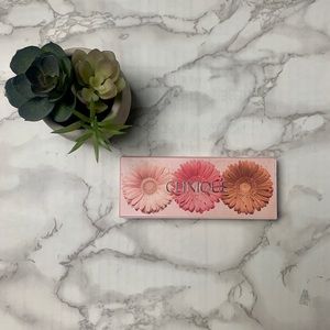 ⚡️⚡️Clinique Blush/highlighter/bronzer